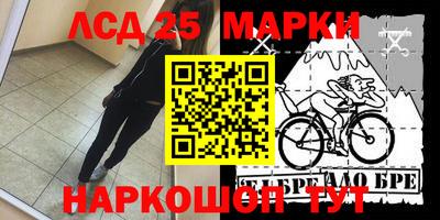 прущие грибы Пушкино