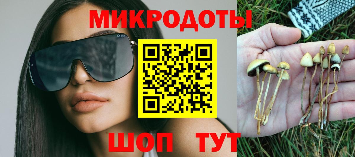 Сибай  Галлюциногенные грибы прущие грибы  Вход с VPN 